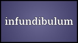 Infundibulum Meaning [upl. by Adnohs547]