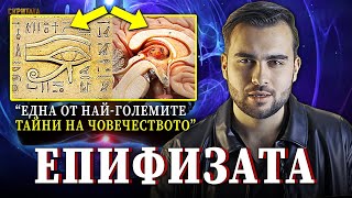 Неразказаната Тайна на Епифизата Третото Око и Порталът вътре в нас  СКРИТАТА РЕАЛНОСТ ЕП 47 [upl. by Ayortal]