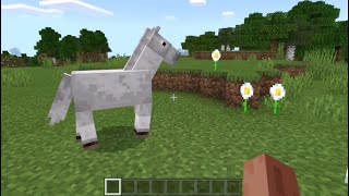 Jak oswoić konia w Minecraft  oswajam 🐴 siodło i zbroja dla konia  uczę mamę grać w Minecraft 2 [upl. by Cochran]