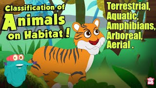 HABITAT OF ANIMALS  Classification Of Animals On Habitat  The Dr Binocs Show  Peekaboo Kidz [upl. by Aynod]