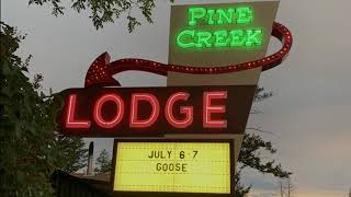 Goose at Pine Creek Lodge Montana 762021 [upl. by Iah]