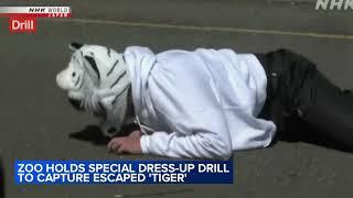 Japanese zoo drill features man doing best escaped tiger impression [upl. by Rupert436]