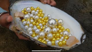 “Freshwater Pearls vs Saltwater Pearls Everything You Need to Know” Fictional content [upl. by Jackquelin971]