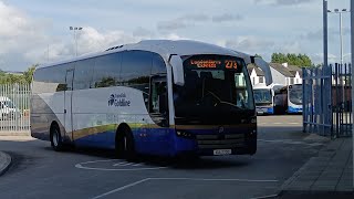 Translink Goldline 1200 on the 273 [upl. by Aititel]