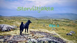 Storviltjakten Episode 1 [upl. by Stefan916]