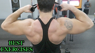 Top 3 Exercises to Build Rear Delts Rhomboids amp Middle Traps [upl. by Dorree169]