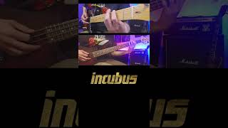 INCUBUS  Privilege  Guitar and Bass Cover  Short 1 [upl. by Ayikat]