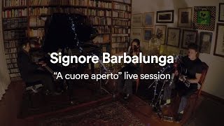 Andrea Cerrato  SIGNORE BARBALUNGA quotA cuore apertoquot live session [upl. by Monah822]