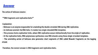 The action of helicase creates primers and replication bubbles [upl. by Avrom565]