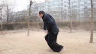 Shang Xing Yi Quan  Ji Xing Chicken Style [upl. by Adriane700]