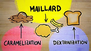 I FINALLY understand the Maillard reaction [upl. by Otilegna]