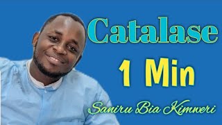 Catalase Quick 1 Minute  Swahili  SBKLT [upl. by Daniel56]