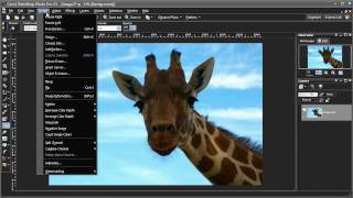 PaintShop Photo Pro X3 New Features Highlights [upl. by Lucchesi]