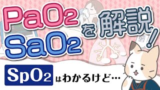 【血ガス】PaO2、SaO2、SpO2を解説！酸素分圧、酸素飽和度について [upl. by Eustazio673]