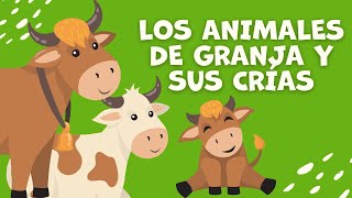 Los animales de granja y sus crías para niños  Familia de animales  Bebés de los Animales Granja [upl. by Sinoda721]