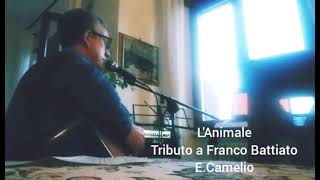 LAnimale di Franco Battiato tributo cover di ECamelio 2023 [upl. by Arretal]