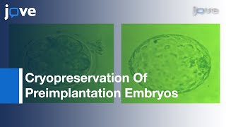 Cryopreservation Preimplantation Embryos Of Cattle Sheep amp Goats l Protocol Preview [upl. by Atsyrt81]