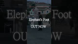 Elephants foot  out now [upl. by Wightman]