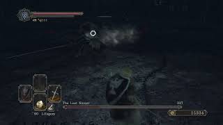 Dark Souls II  Lost Sinner  No Hit [upl. by Elbam372]