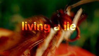 Arden Jones  living a lie Lyric Video [upl. by Vieva]