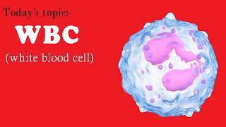 Short review of WBC Life span Stabs formation [upl. by Ardnael]