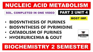 Unit 4 Biosynthesis of Purine and Pyrimidine nucleotides  Gout  Part 2  Biochemistry 2nd sem [upl. by Eckel]