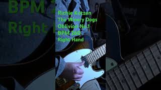 The Winery Dogs  Oblivion No1 260 Right Richie Kotzen guitar ギター telecaster emg テレキャス helix [upl. by Ahsikrats]