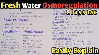 Osmoregulation In Fresh Water Fully Explained In Urdu Hindi  Class 12 Biology [upl. by Laraine]