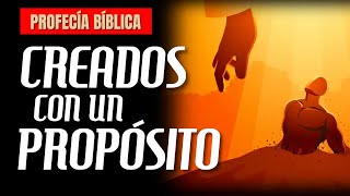 ⚠️ PROFECÍA BÍBLICA ⚠️ ¿Para qué estamos aquí en la tierra [upl. by Leandre979]