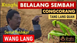 WANG LANG  Pencipta KUNGFU BELALANG SEMBAH Tang Lang Quan [upl. by Aratas]