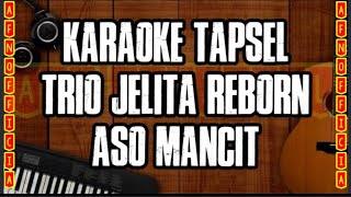 KARAOKE TAPSEL ASO MANCIT  TRIO JELITA REBORN [upl. by Airdnaxela]