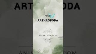 quotPhylum ARTHROPODAquot ✨ANIMAL KINGDOM biology class11 neet trending [upl. by Damarra]