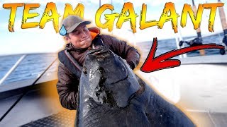 CATCHING GIANT HALIBUT  One Week in Norway  Team Galant [upl. by Lipski]