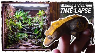 Making a Crested Gecko Vivarium Time Lapse [upl. by Favian]