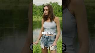 Don’t Mess With Canada Gooses shorts viral [upl. by Menides]