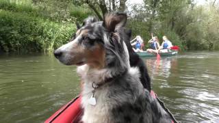 Mit 3 bunten Hunden im roten GrabnerGummiboot auf der LAHN 2017 [upl. by Nairdad]