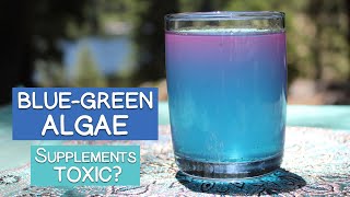 Are AFA BlueGreen Algae Supplements Toxic Controversy About Cyanotoxins [upl. by Zetnauq788]