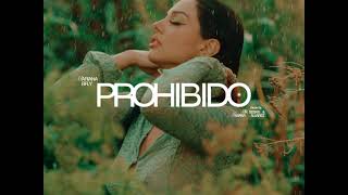 Mariana Bfly  PROHIBIDO ft Rocco Visualizer oficial [upl. by Nnanerak166]