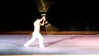 Beijing wushu武術 The karate kid Zhenwei wang王振威 performance [upl. by Dong]