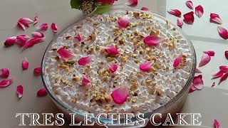 Tres Leches Cake Malayalam recipie Thayees Kitchen Magic [upl. by Loferski183]