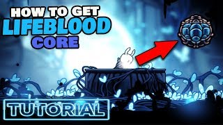 Hollow Knight  How to get Lifeblood Core Charm [upl. by Ainsley]