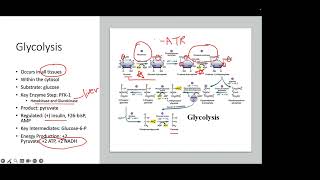 Biochem Review  Aerobic Respiration NPLEX I [upl. by Mailliw]