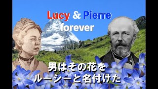 🍎 Lucy amp Pierre Forever あるスイス植物学者 愛の物語 亡くなった妻を偲び、男はその花をルーシーと名付けたLyric Video [upl. by Siletotsira]