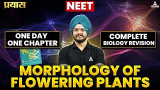 MORPHOLOGY OF FLOWERING PLANTS  NEET 2024  ONE DAY ONE CHAPTER  COMPLETE BIOLOGY REVISION [upl. by Obocaj]