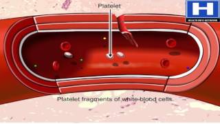 BLOOD CLOTTING TIME  CAPILLARY GLASS TUBE METHOD  HAEMATOLOGY LAB  PHYSIOLOGY [upl. by Shermy]