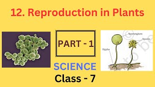 Reproduction in Plants part1  Chapter 12  Class 7 Science  NCERT [upl. by Ytitsahc]