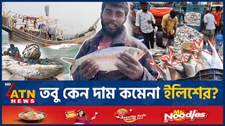 ইলিশের দাম বেশি থাকার নেপথ্য কারণ কী Hilsa Fish Hilsa High Price Reason  Not Export Hilsa  Puja [upl. by Idnam]