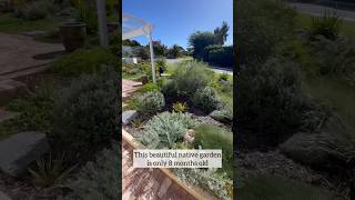 Low maintenance front yard Australian native garden design landscaping reticulation gardenscapes [upl. by Harrod420]