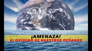 ¡AMENAZA EL OXÍGENO DE NUESTROS OCÉANOS [upl. by Ayaj]