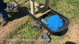 Triticale Research Plot Harvest in Vernon TX  Part 3 [upl. by Dyob105]